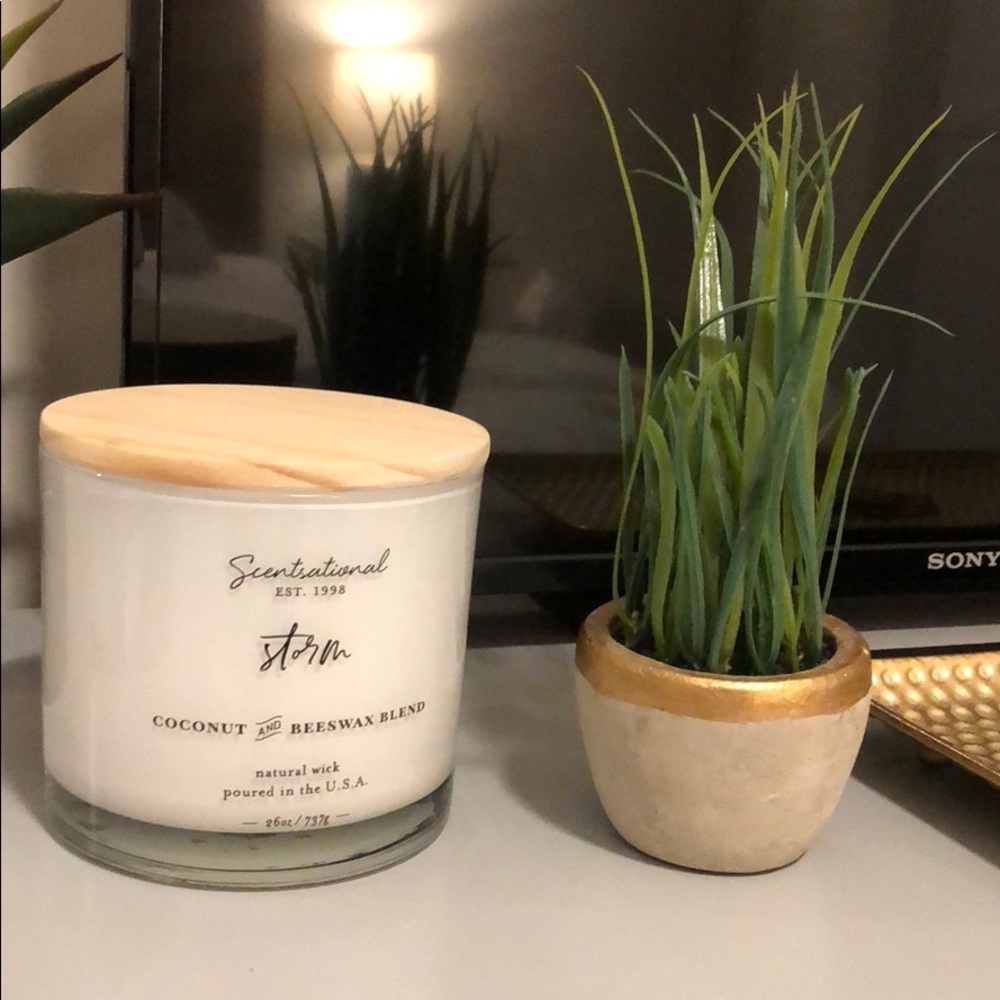 Faux plant in concrete planter